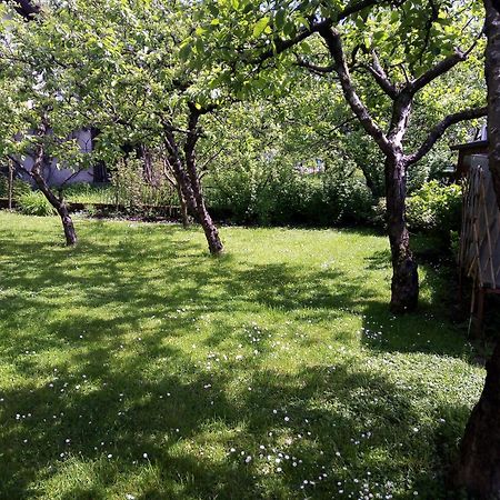 Apartma Rutar Tolmin Exteriör bild