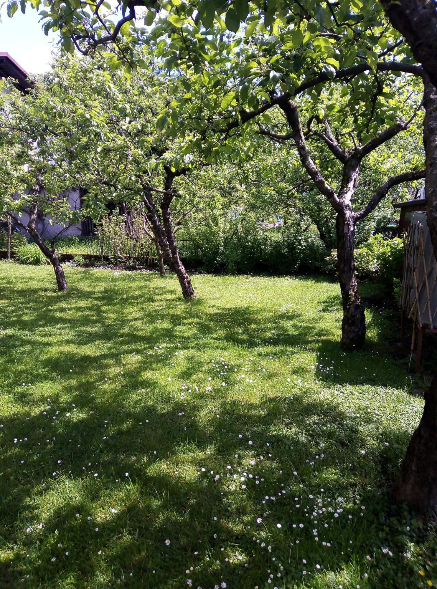 Apartma Rutar Tolmin Exteriör bild